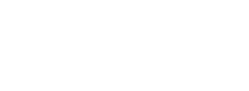 Lew Group™
